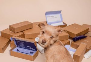 Collectique dog e-commerce parcels delivery returns_
